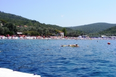 žanjice