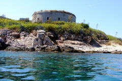 mamula2